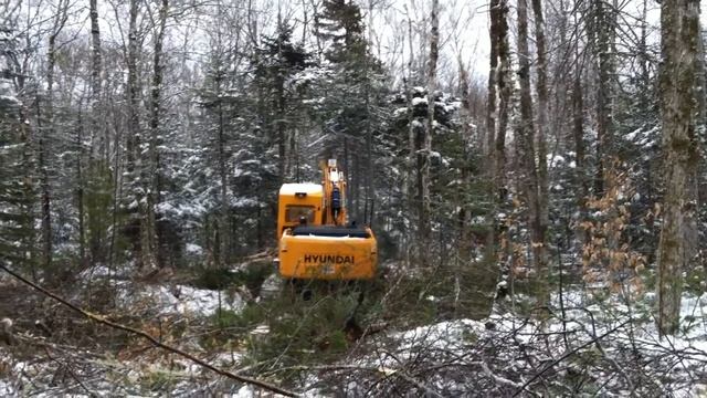 Hyundai 160 with Ponsse Harvester Head смотреть онлайн
