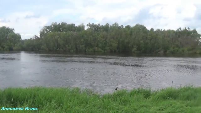 Природа деревенского края и Верхнеомские улицы Усть-Таркского района. смотреть онлайн