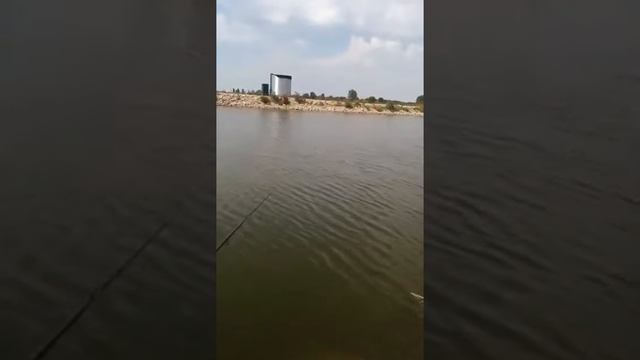 Офигевший Удмуртский рыбак на озерах Краснодарского края видео 3 смотреть онлайн