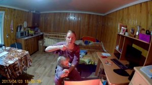 Купили индюшат и утят