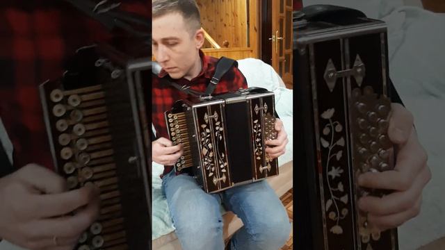 Арча кое. смотреть онлайн
