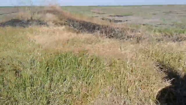 Коп металла с TX 850 смотреть онлайн