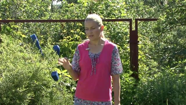 Дизайн цветников. Уход за цветниками.Часть 7 смотреть онлайн