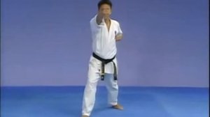 Каратэ Киокушинкай  Ката   Тайкиоку Соно Ни