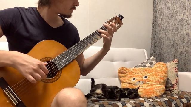 Greensleeves Acoustic Cover by Konstantin Ermolchev смотреть онлайн