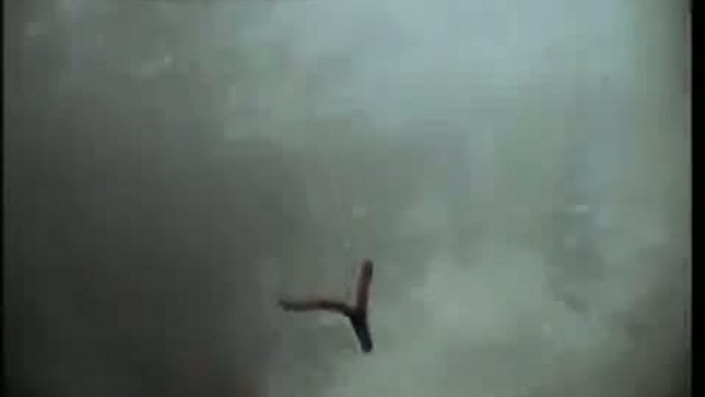 Ворон рыбак / www.kengarags.ru смотреть онлайн