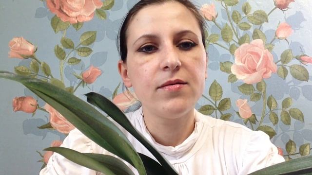 Как помочь орхидее смотреть онлайн