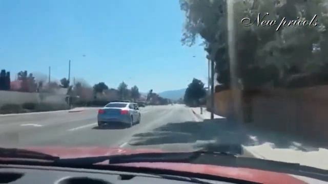 New Pricols - выпуск 2