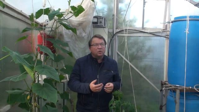 Жизнь за городом, Строим теплицу. смотреть онлайн