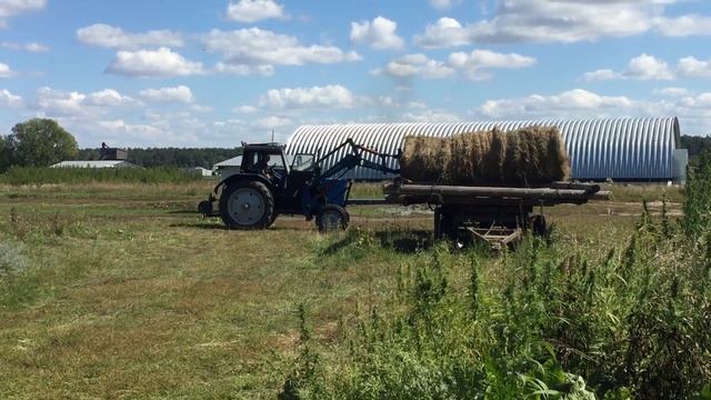 Вывозим сено? смотреть онлайн