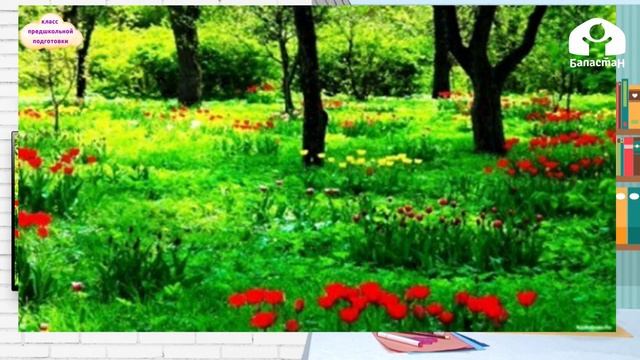 КЛАСС ПРЕДШКОЛЬНОЙ ПОДГОТОВКИ / Растительный мир / ТЕЛЕУРОК / 28.04.2021