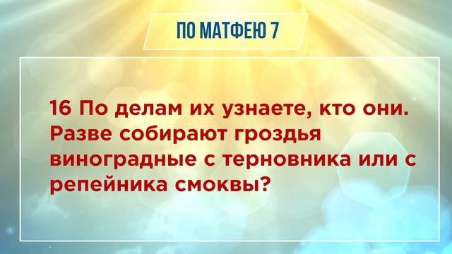 ОТ МАТФЕЯ глава 7 | ЧТЕНИЕ БИБЛИИ смотреть онлайн