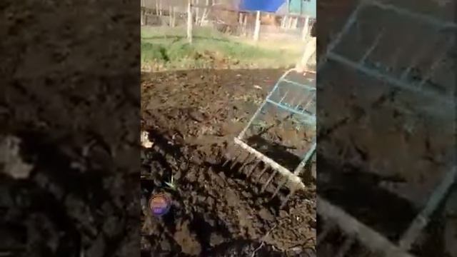 karAvat смотреть онлайн