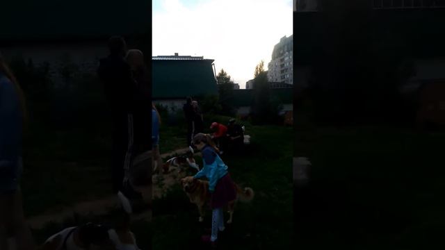 Сабачи бои 3 смотреть онлайн