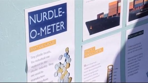 Unit 1 1C Volunteering - Solutions Pre-Intermediate 2nd edition Video