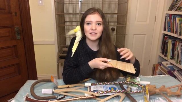 How to Set Up Your Parrot’s Cage! | Bird Cage Setup смотреть онлайн
