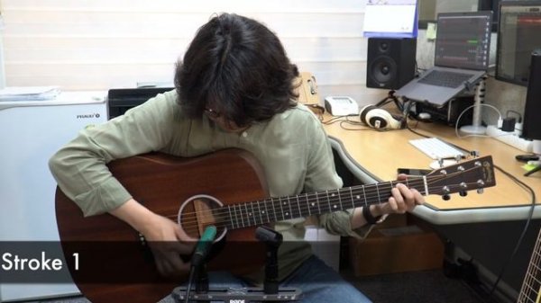 Martin D-10e Sapele VS Martin D-10e Spruce