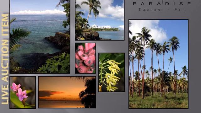 RBRC Casino Night 2015 PPT смотреть онлайн