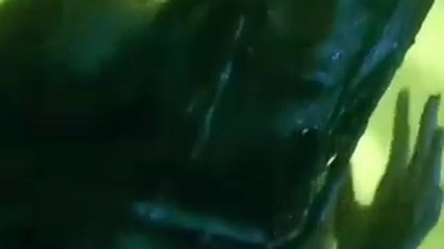 Реклама Gliss Kur Жидкий шёлк (2003) (Фейк) смотреть онлайн