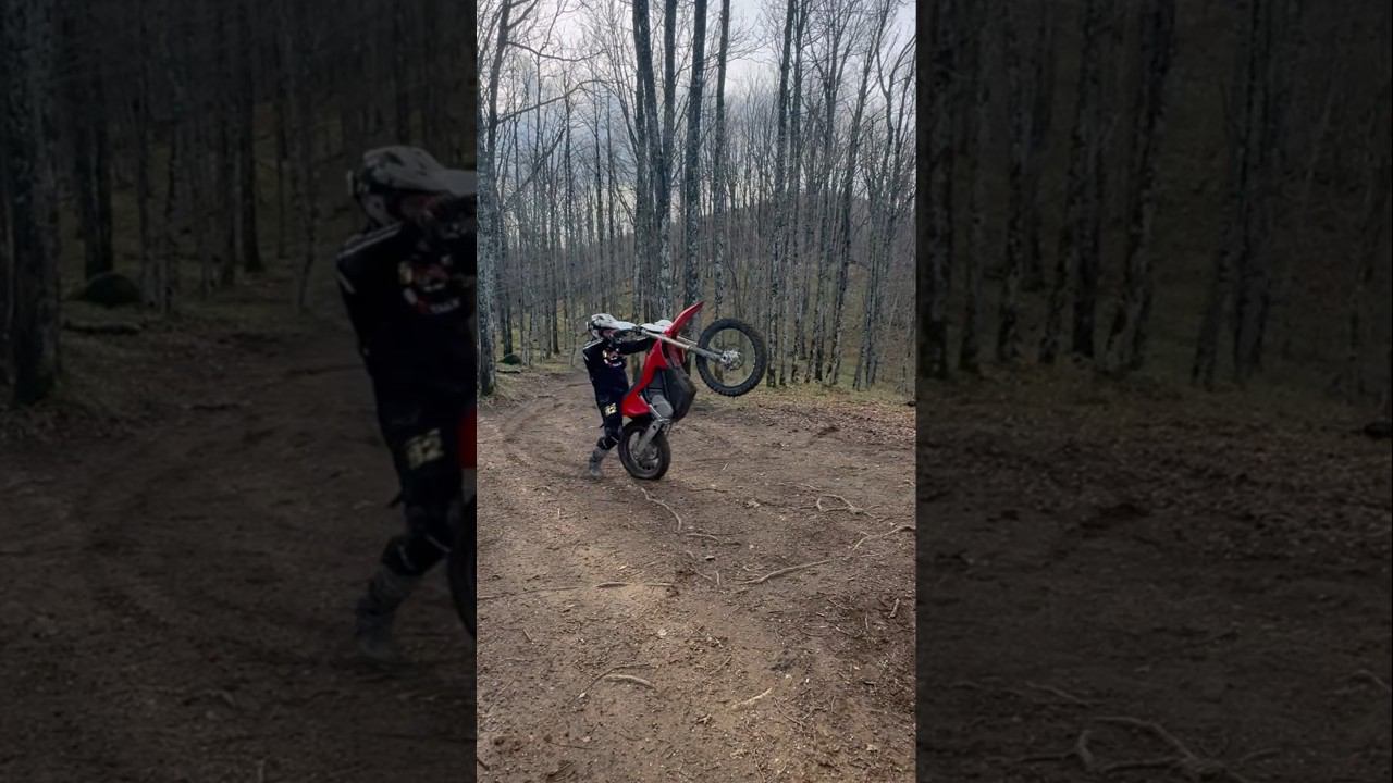 8 декабря 2023 г.