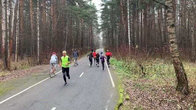Тхэквондо ЦСКА. Тренировки в лесу. смотреть онлайн