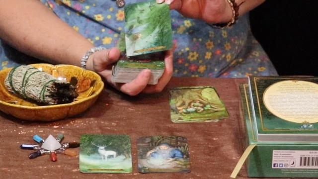 Forest of Enchantment Tarot Box Opening: An enchanting delight! смотреть онлайн