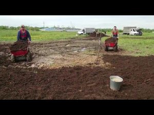 Ландшафт вести с полей или везти с полей