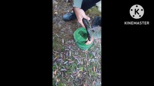 Рыбалка в Крыму. с.Желябовка.#крым #рыбалка #улов