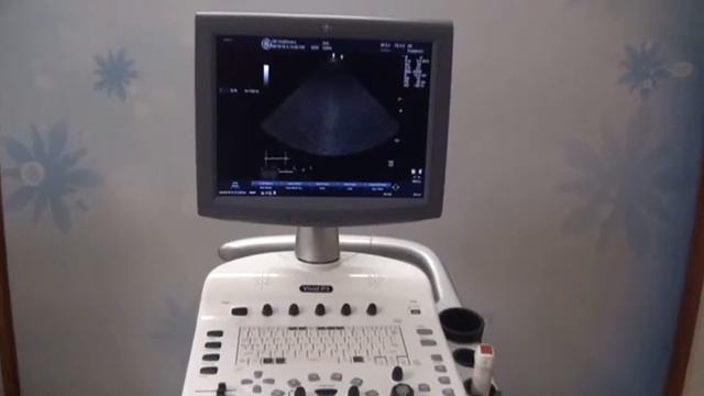 GE VIVID P3 @ ULTRASOUNDINDIA смотреть онлайн