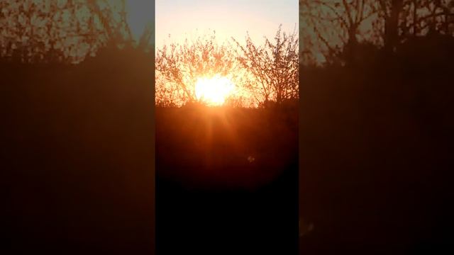 Доброго утра, друзья!😊💜🌅 Восход солнца 28.10.2021