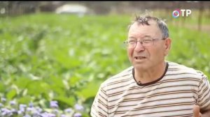 ЛЕГЕНДЫ КРЫМА сельское хозяйство