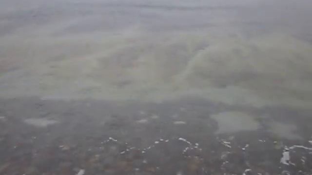 Моя планета Земля! Чёрное море. смотреть онлайн