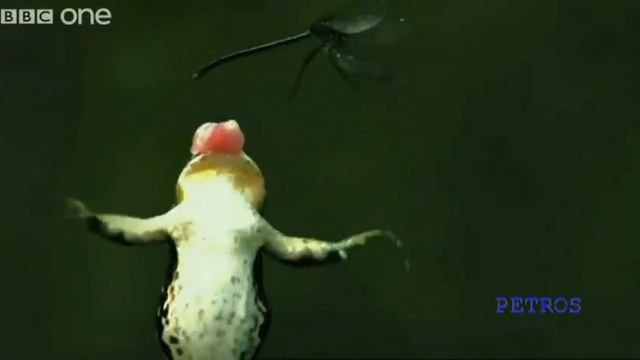 "Удивительный мир" - поёт Луи Армстронг смотреть онлайн