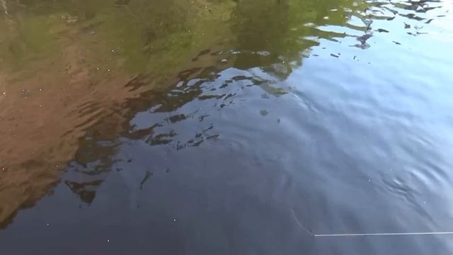 Сояна май. смотреть онлайн
