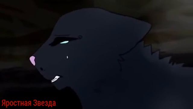 Коты-Воители Остролистая - Don't Let Me Down ( Заказ ) смотреть онлайн