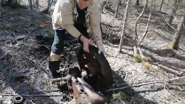 С ПРИЕМКИ В ЛЕС.Разведка по лесным делянкам. смотреть онлайн