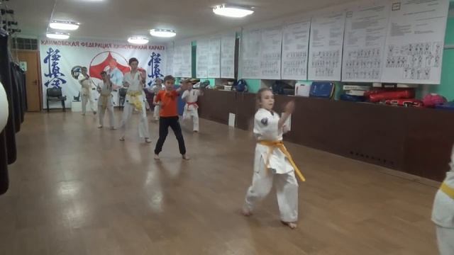 Тренировка 27 февраля 2020 года. Группа №3 Киокусинкай Каратэ Климовск смотреть онлайн
