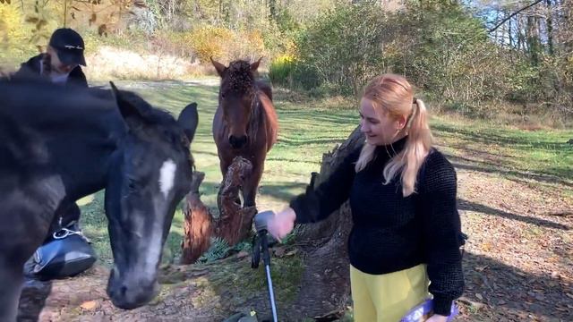 Орлиные скалы и Агурские водопады смотреть онлайн