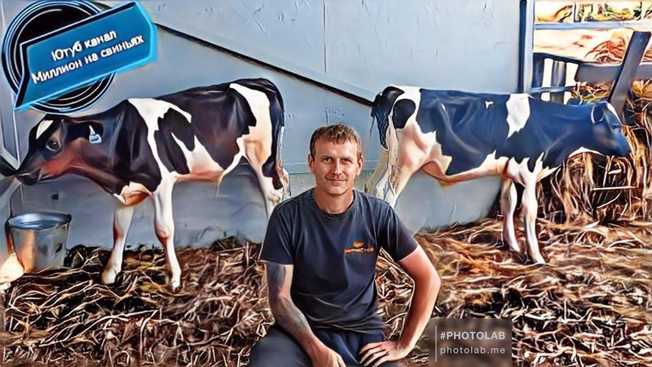 ВЕС ТЕЛЯТ В 3 МЕСЯЦА ‼️ОБЗОР НОВОРОЖДЁННЫХ ПОРОСЯТ смотреть онлайн