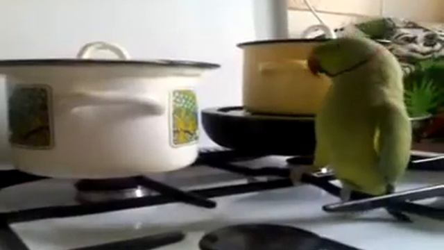 Сим сим откройся.avi смотреть онлайн