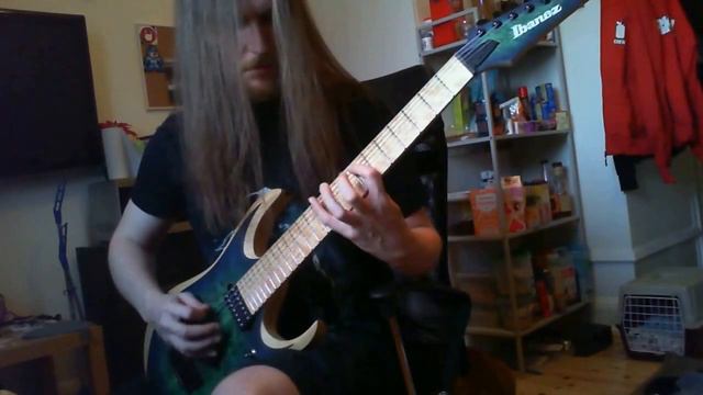 At the Gates - Blinded by fear (cover) смотреть онлайн