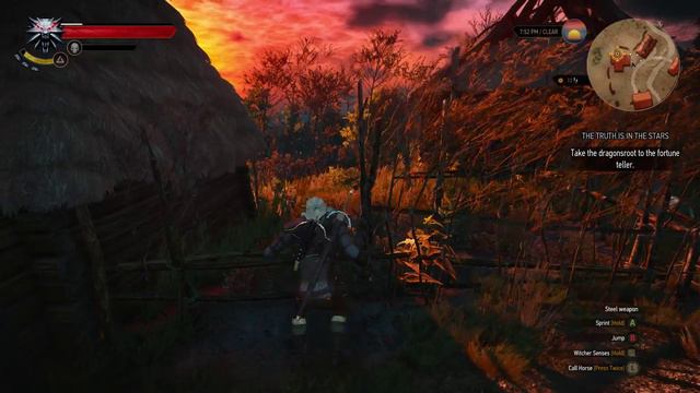 THE WITCHER 3 THE WILD HUNT WALKTHROUGH PART 31- THE TRUTH IS IN THE STARS смотреть онлайн