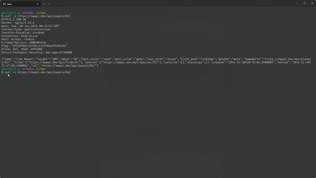 Mockoon - Partial API mock with proxy mode смотреть онлайн
