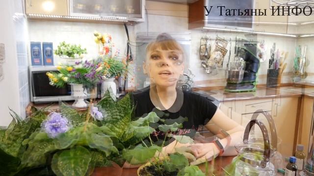 ЗЕЛЕНКА для комнатных растений. Лучший рецепт подкормки! смотреть онлайн