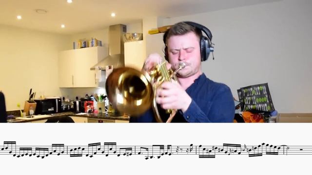 the smoothest flugelhorn solo ever (Gonna Fly Now Transcription) смотреть онлайн
