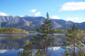 №96≪А ВОКРУГ ДО НЕБЕС - ЛЕС!≫ БАМ Таксимо Татьяна Шаманская. АВТОРЫ: Сергей Шаманский, В. Лавренчук