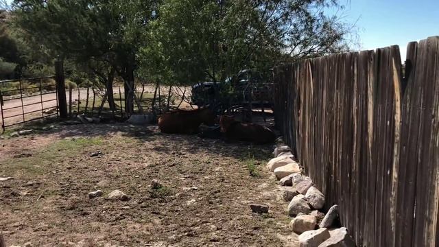 Гармонии Забвения