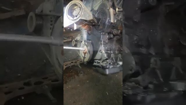 Разборка Ford - Transit 2000-2006, 2.0 TDDI(VIN: WF0VXXBDFV3C74196) T19955 смотреть онлайн