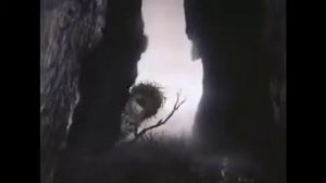 "ёжик в тумане"