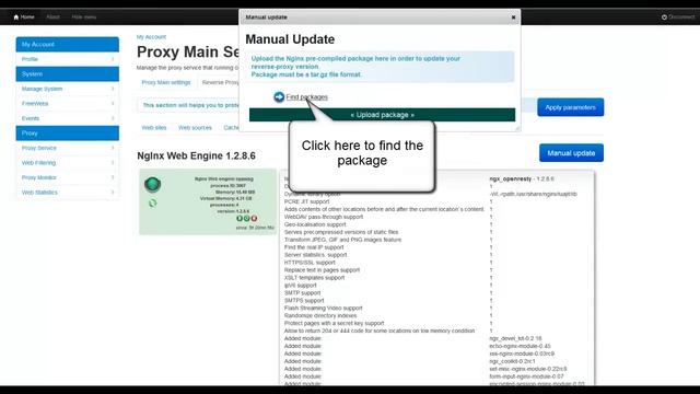 Update the reverse proxy ( NgInx ) trough Artica смотреть онлайн